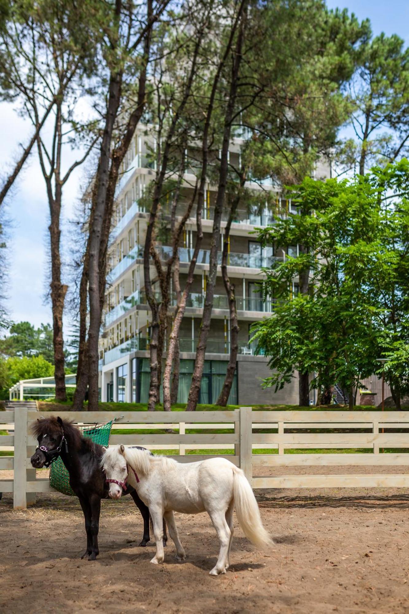 Magnika Resort 谢赫维蒂利 外观 照片